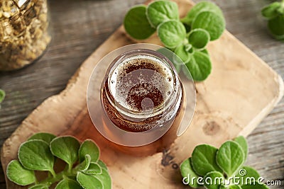 A glass jar of Coleus amboinicus syrup for common cold Stock Photo