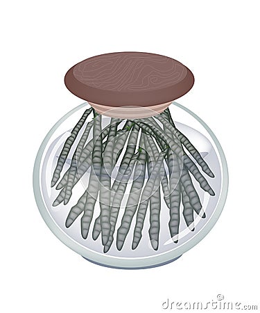 A Glass Jar of Fresh Mung Bean Pods Vector Illustration