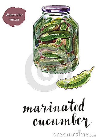 Glass jar of marinated cucumbers Vector Illustration
