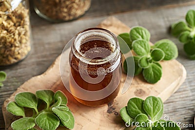 A glass jar of Plectranthus amboinicus syrup for common cold Stock Photo