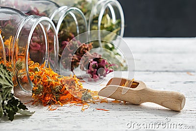Glass jars of dry medicinal herbs - raspberry leaves, calendula, coneflowers and linden tree flowers on table. Stock Photo
