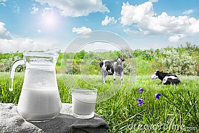 Glass jug with milk and a glass on the grass against a backdrop of picturesque green meadows with flowers Stock Photo