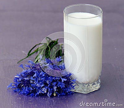 Glass of milk and a bouquet cornflowers Stock Photo