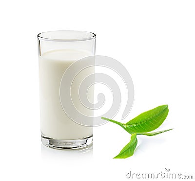 glass of milk and green tea leaf Stock Photo