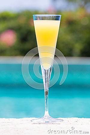 Glass of Mimosa Stock Photo
