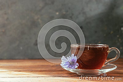 A glass mug with a chicory drink. A blue chicory flower floats in a cup with a drink Stock Photo