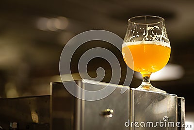 Glass of pale ale in a brewery Stock Photo