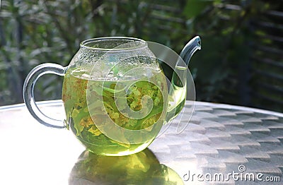 Glass pot with homemade lime blossom tea Stock Photo