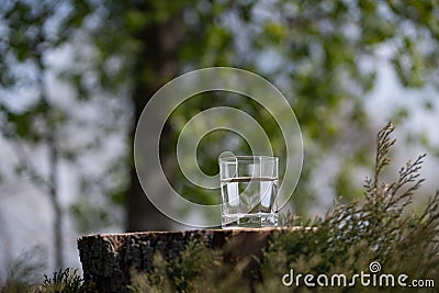 Glass of pure fresh water on the old tree stump. Green nature background Stock Photo