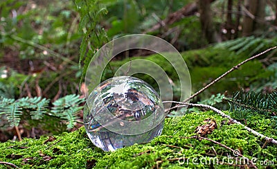 A glass sphere rests on a bed of moss Stock Photo