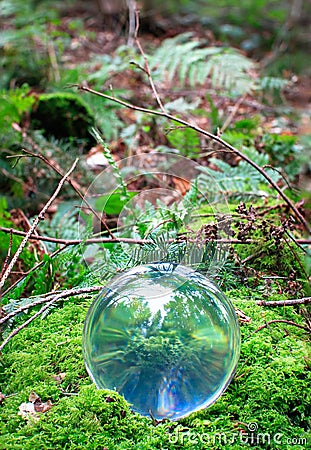 A glass sphere rests on a bed of moss Stock Photo