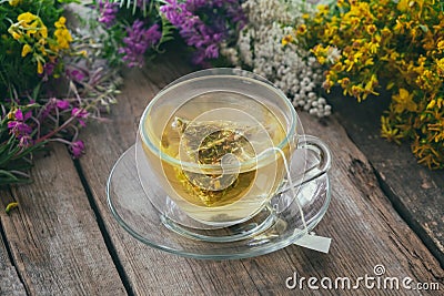 Glass tea cup with tea bag of healthy herbal tea and bunches of medicinal herbs on background. Stock Photo