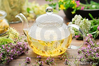 Glass tea kettle of healthy herbal tea, thyme, linden blossom, St Johns wort, yarrow, chamomile, calendula medicinal herbs Stock Photo