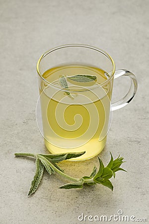 Glass of tea with a twig of fresh green ironwort Stock Photo