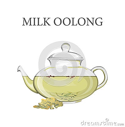 Glass teapot full of milk oolong tea Vector Illustration