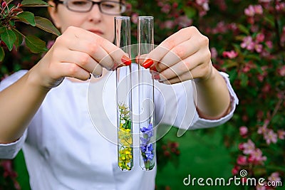 Glass test tubes with flower samples, close-up. Female hands holding flasks, blurred background. Study of plants, medicinal herbs Stock Photo