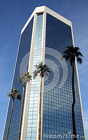 A Glass Tower and Four Palm Trees Stock Photo