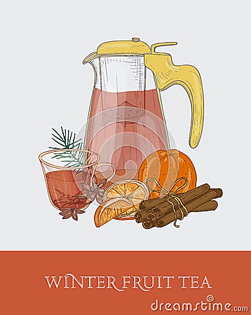 Glass transparent teapot or pitcher with strainer, cup of winter fruit tea, fresh orange, cinnamon and star anise on Vector Illustration