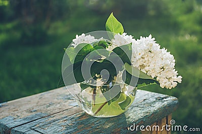 Glass vase with bouguet of white lilac on nature background Stock Photo