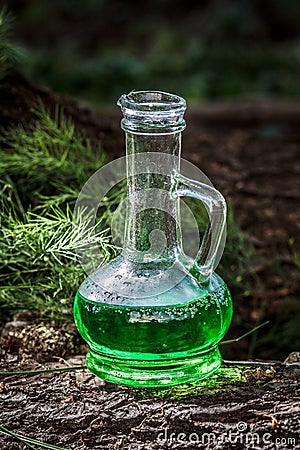 Glass vessel with green herbal potion in the woods on the trunk Stock Photo