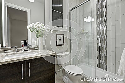 Glass walk-in shower in a bathroom of luxury home Stock Photo