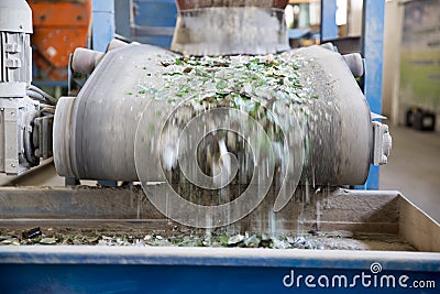 Glass waste in recycling facility. Glass particles Stock Photo