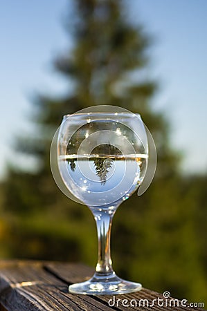 A glass with a water on the balcony overlooking the mountains. Mirror display in a glass. Display a conifer tree in a glass Stock Photo
