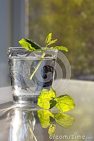 Glass of water and mint on white table Stock Photo