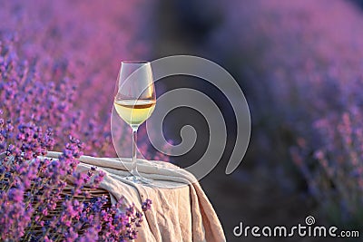 Glass of white wine in a lavender field. Violet flowers on the background. Stock Photo