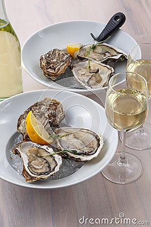 Glass of wine and plate of oysters on ice with lemon Stock Photo