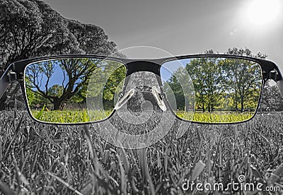 Through glasses frame. Colorful view of landscape in glasses and monochrome background. Different world perception Stock Photo