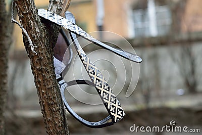 Glasses hung on a tree Stock Photo