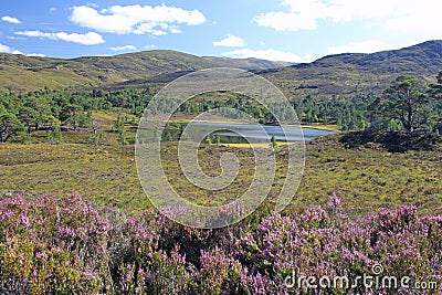 Glen Affric Stock Photo