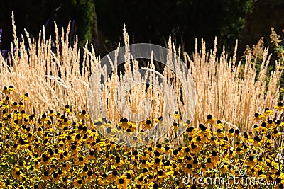 Glen Eyrie Castle Flower Gardens Stock Photo