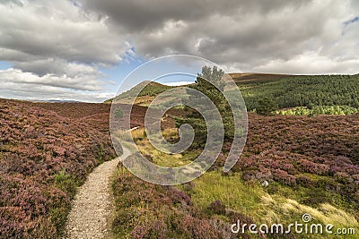 Glen Feshie path across heather and moor in the highlands of Scotland. Stock Photo