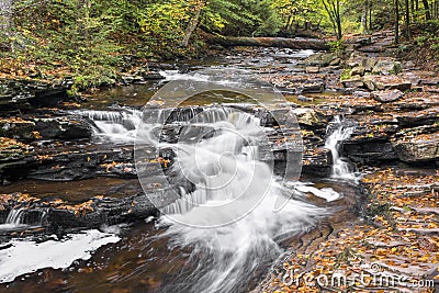 Glen Leigh at Ricketts Glen Stock Photo