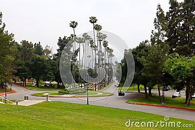 Glendale, California: Glendale Brand Park located at 1601 W Mountain St Stock Photo