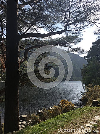 Glendalough lake and Woodland Stock Photo