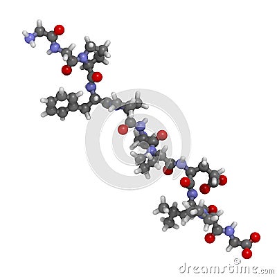 Gliadin derived peptide. Immunogenic breakdown product of gliadin (gluten), playing an essential role in celiac disease Stock Photo