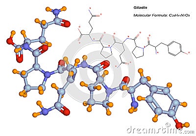 Gliadin molecule, component of gluten Cartoon Illustration