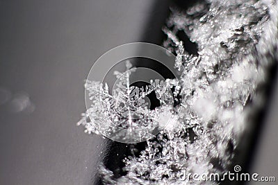 Glistening snowflake Stock Photo