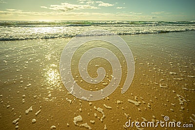 Glistening Sunshine in the Water as Waves Break on the Shore Stock Photo