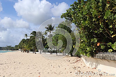 Beach Hotel Barbados Editorial Stock Photo