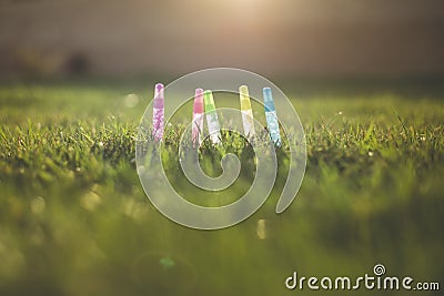 Glitter in Grass Stock Photo