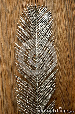 Glitter silver feather wood background Stock Photo
