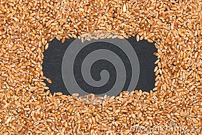 global food crisis, wheat in the middle black copy sapce Stock Photo