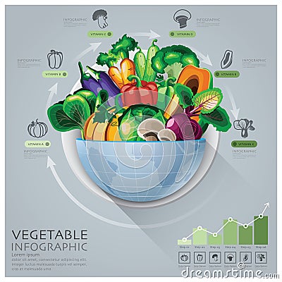 Global Medical And Health Infographic With Round Circle Vegetable Vitamin Diagram Vector Illustration
