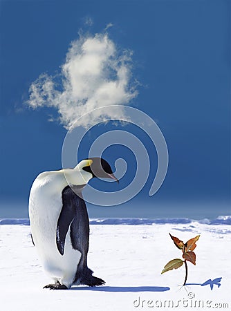 Global Warming In Antarctica Stock Photo