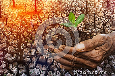 Global warming, climate change, hot weather, dry earth, new life Stock Photo