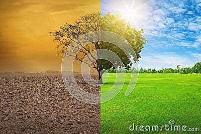 Global warming concept. A tree image showing of arid land changing environment Stock Photo